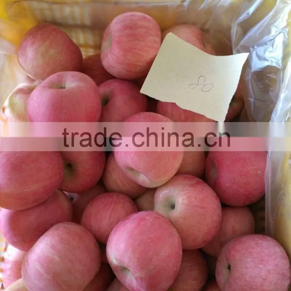 Common Cultivation Type and Pome Fruit Product Type Fresh Apple Fruit for Sale photo-5