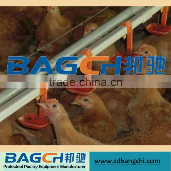 Poultry Automatic Nipple Drinking System photo-2