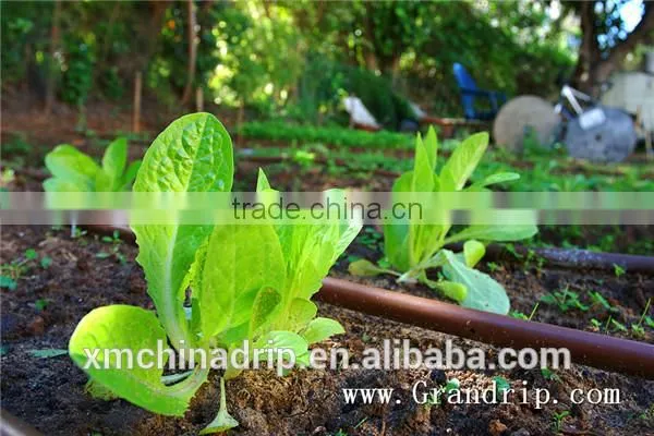 Drip Tape Irrigation Line 16mil Trickle Soaker Garden Hose Trickle Tape photo-2