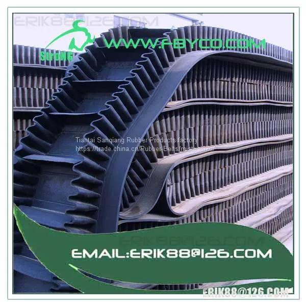 ee conveyor belt