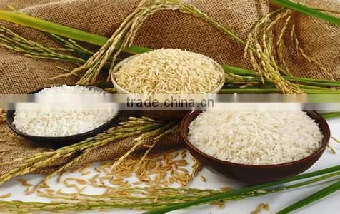 Wholesale Cheap First Grade Instant Protein Nutritional Rice Machine photo-6