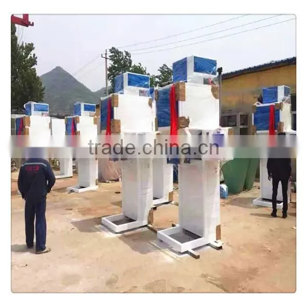 CSPS 2016 Most Popular Wood Pellet Packing Machine photo-6