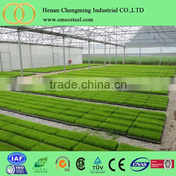 Outdoor Garden Backyard Vegetable Seed Used Greenhouse Grow Tent photo-3