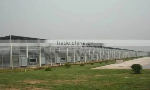 Polycarbonate Sheet Greenhouse-6
