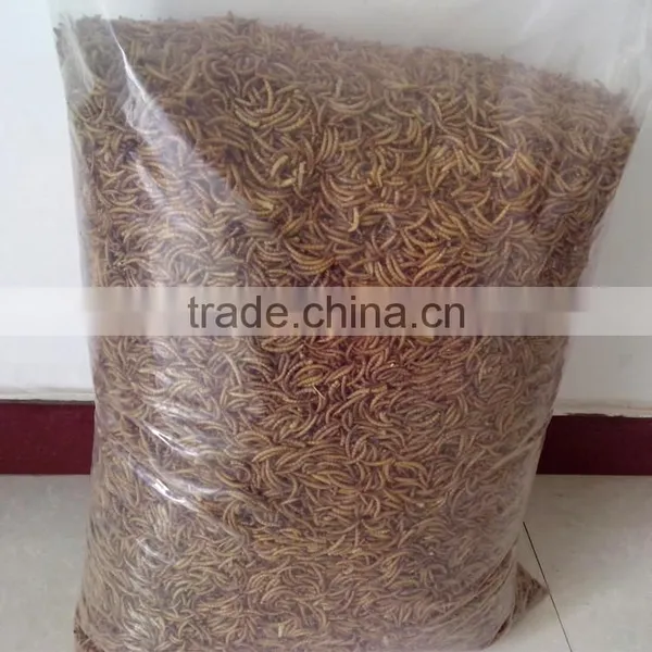 Poultry Feed Additive High Protein Mealworm photo-3