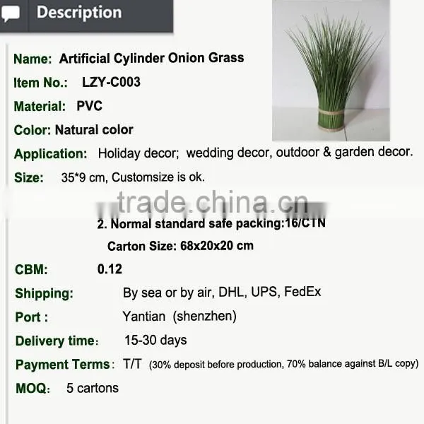 Hotsales Natural Cylinder Onion Grass for Garden Decoraction photo-3