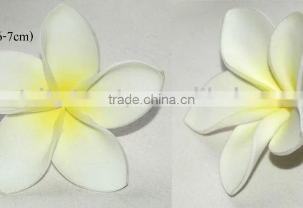 Hawaiian Foam Flower Frangipani Plumeria (KAT)