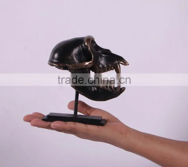 Macaque Skull on Base photo-2