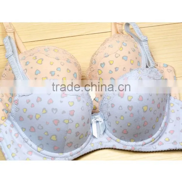 Body Good Quality Sexy Penty & Sweet Girl Lace Bra Photos photo-2