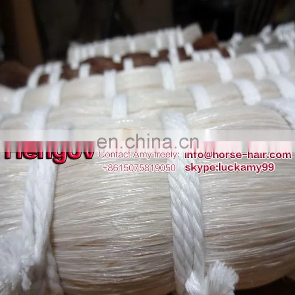 Loose Horse Hair for Sell Mongolian Horse Hair Horse Hair for Brush Extension photo-3