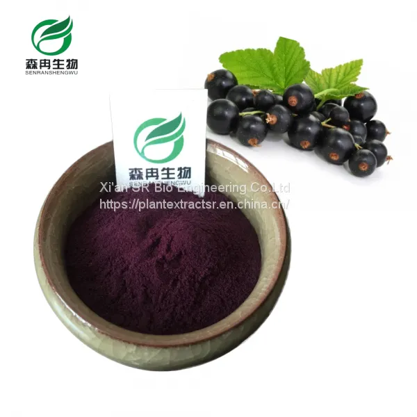 Manufacture Supplier Natural Maqui Berry Powder