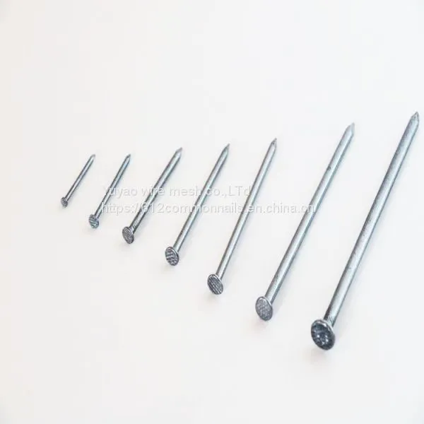 YuYao Factory Supply Iron Nail With Best Price photo-2