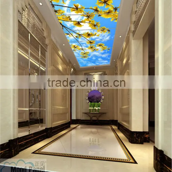 2016 Luminous Led Sky Curtain Wall Panel photo-6