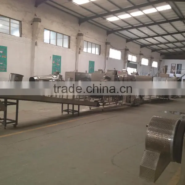 Automatic Twin Screw Bread Crumb Production Line photo-5