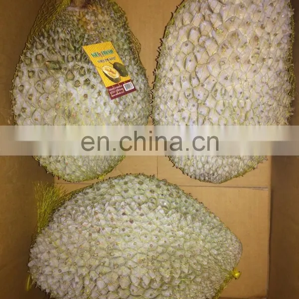 Thailand King Fruit Frozen Durian Whole (Monthong) photo-3