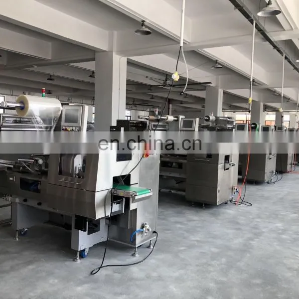 Ruipuhua High Quality Pie Crust/ Pancake/ Tortialla/ Pita Automatic Packing Packaging Flow Wrapping Machine photo-5