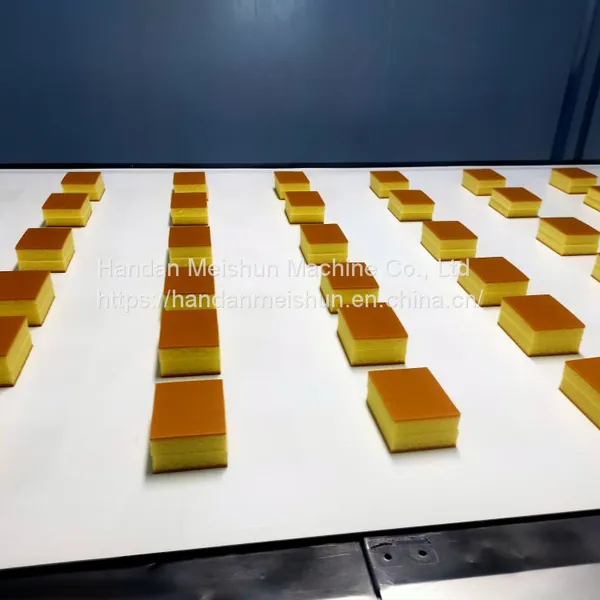 MSXT2000 From Cakes and Cheesecakes Through to Pastries and Confectionary Cheese Ultrasound Cutter photo-5