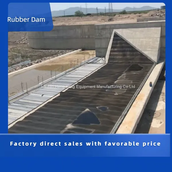 China Rubber Dam photo-4