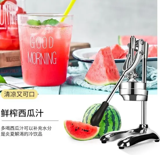 Fruit Squeezer photo-4