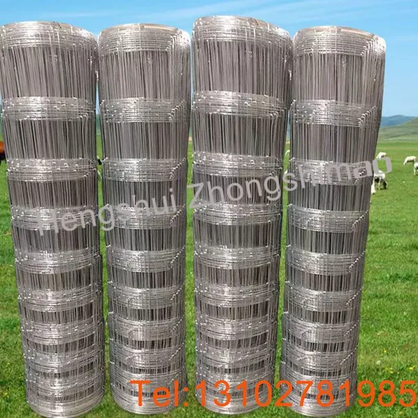 Wire Mesh for Grassland Wire Mesh Fence photo-3