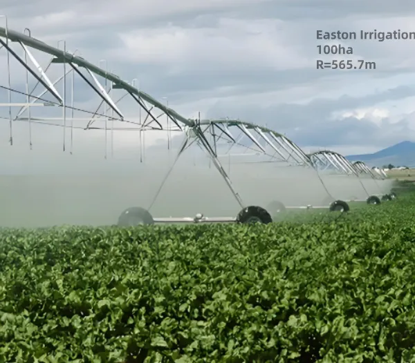 85ha Automatic Farm Center Pivot Irrigation System Equipment With Mobile Control photo-2