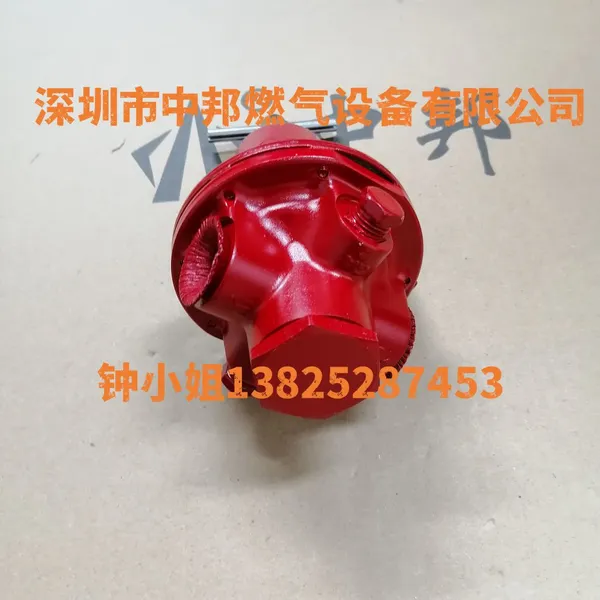 REGO 1584VN Pressure Reducing Valve photo-3
