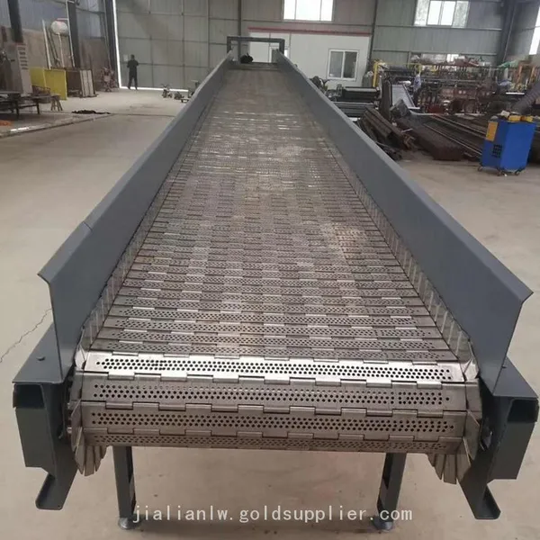 Plastic Chain Plate Conveyor Flat Top Chain Anti-Static Perforation Single Hinged Straight Stainless Steel Chain Conveyor System photo-2