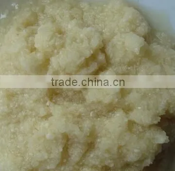 Stainless Steel Garlic Paste Grinding Machine|Large Model Mashed Garlic Making Machine photo-4