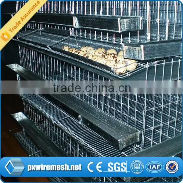 Metal Breeding Cage/galvanized Steel Wire Mesh Quail Breeding Cages,metal Quail Cage,commercial Quail Cages photo-4