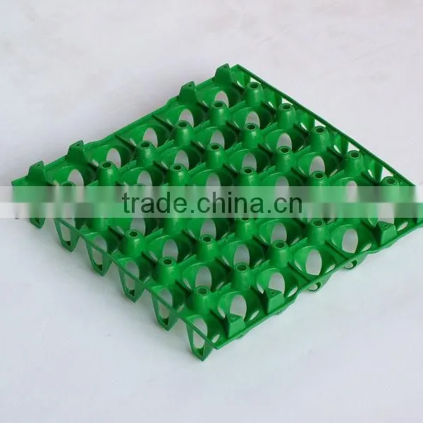 Egg Packaging Trays