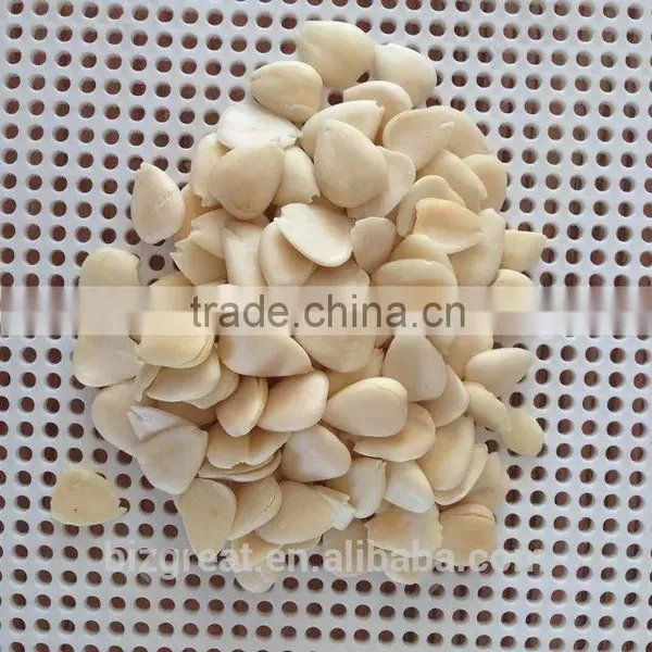 Supply With Chinese Blanched Bulk Apricot Kernels With Good Quality for Sales photo-5