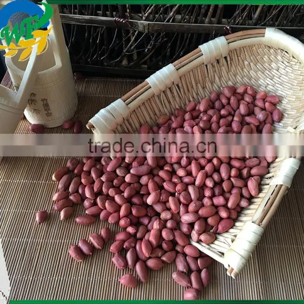 Colour Red Peanuts Kernels New Crop In photo-2