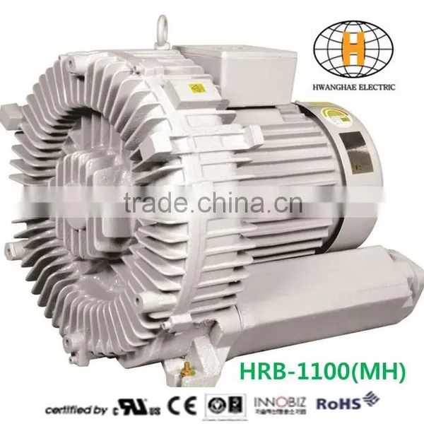 Three Phase Air Ring Blower Motor