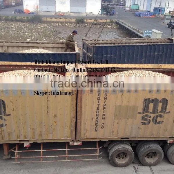 Tapioca Chips in Vietnam _ QQ : 2598494113 photo-5