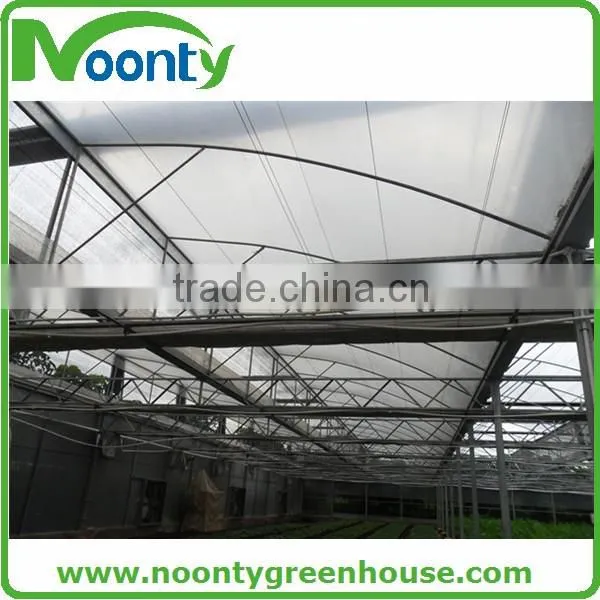 Tropical Greenhouse photo-5