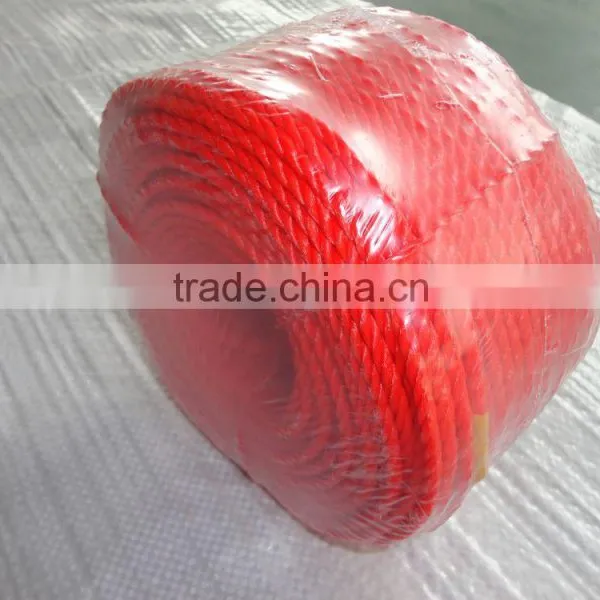 Colorful Rice Straw Rope photo-4