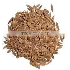 Cumin Seeds