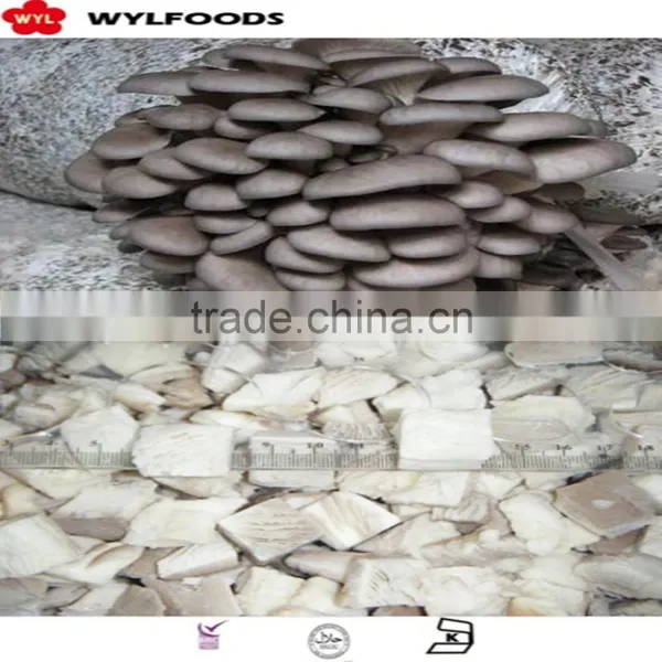 2016 Delicious Grade A Iqf Oyster Mushroom Cuts