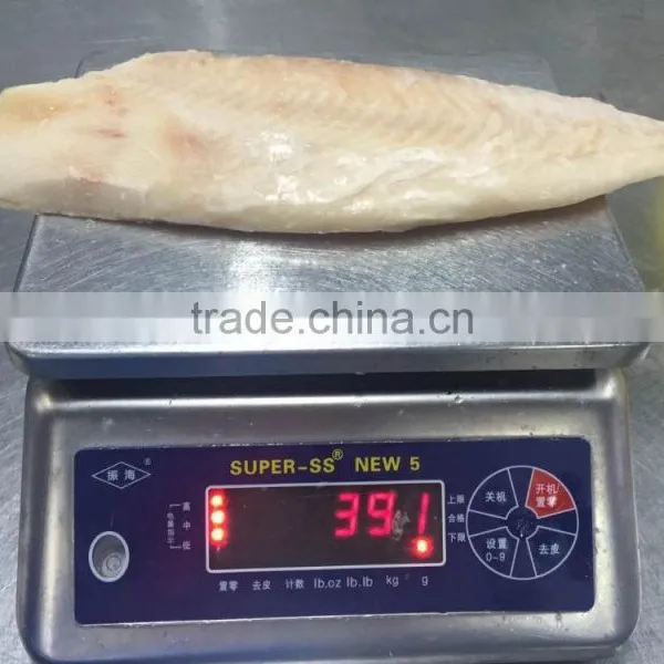 Frozen Brama Brama Fillet Boneless Top Quality photo-3