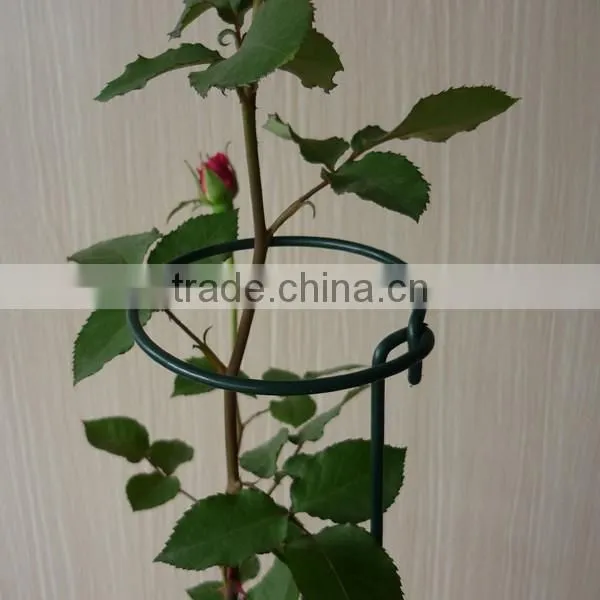 Garden Plant Gathering Rings photo-3