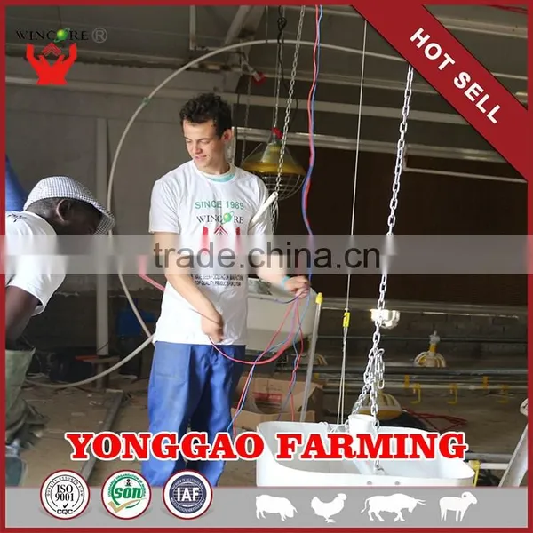 Hot Salling Poultry Feeding System for Automatic Poultry Farming Equipment for Chickens photo-3