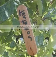Wood Label