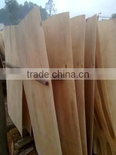 POPULAR SHORT CORE VENEER/EUCALYPTUS CORE VENEER photo-2