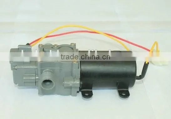 (Pump-06) 12v dc Sprayer Pump photo-4