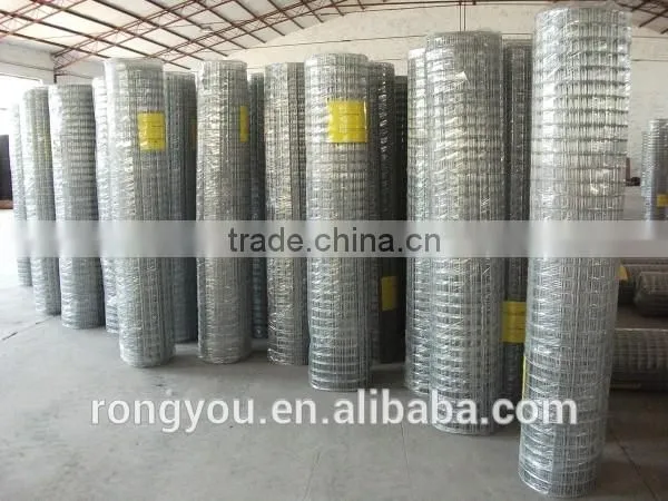 Good Quality Welded Mesh photo-2