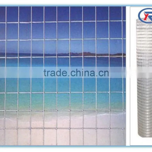 Low Price 1/2 ,1/4 Inch Hot Dipped Galvanized Welded Wire Mesh Made in China photo-4