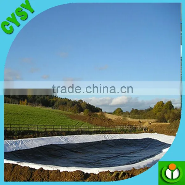 Transparent Bule Fish Pond Geomembrane Pond Liner photo-2