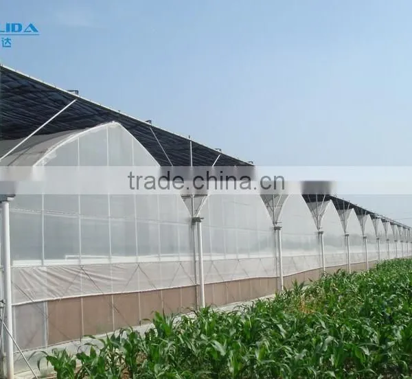 BLD Large Multi-span Plastic Film Greenhouse/agriculture Greenhouse photo-3