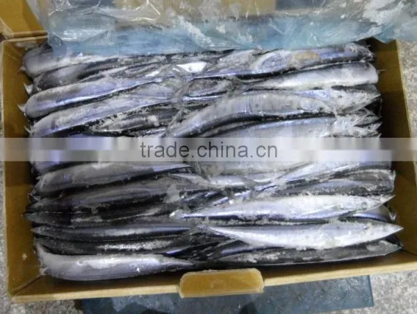 China Frozen Pacific Saury 80-100g3# Size for Sale photo-3