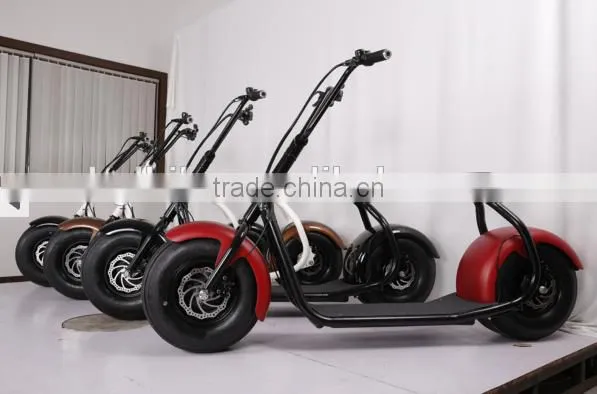 2017 THE BEST QUALITY Most Fashionable Citycoco 2 Wheel Electric Scooter, Adult Electric Motorcycle photo-2